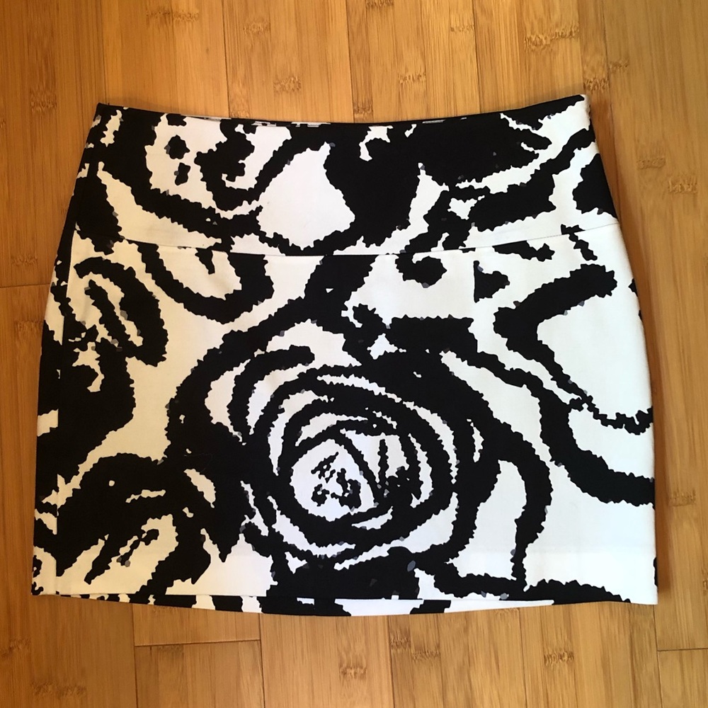 Express Skirt
